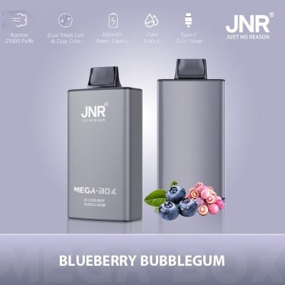 JNR Mega Box 25000 puffs Blueberry Bubblegum