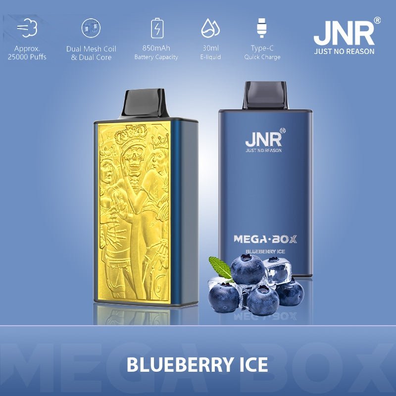 JNR Mega Box 25000 Züge Heidelbeereis JNR Mega Box 25000 Züge Heidelbeereis