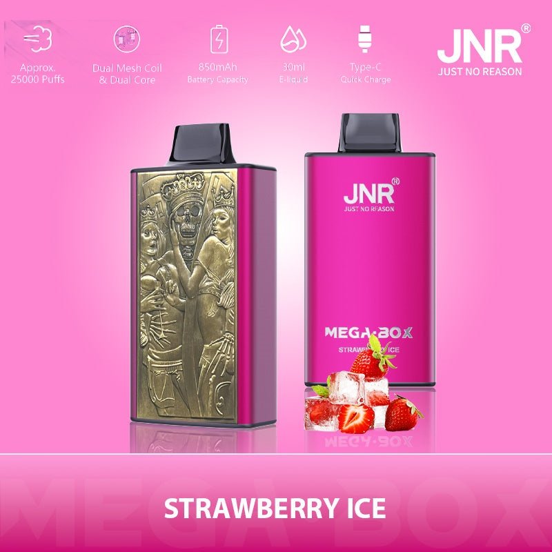 JNR Mega Box 25000 Züge Erdbeereis JNR Mega Box 25000 Züge Erdbeereis