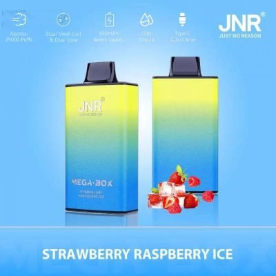 JNR Mega Box 25000 puffs Jordbær Hindbær Is