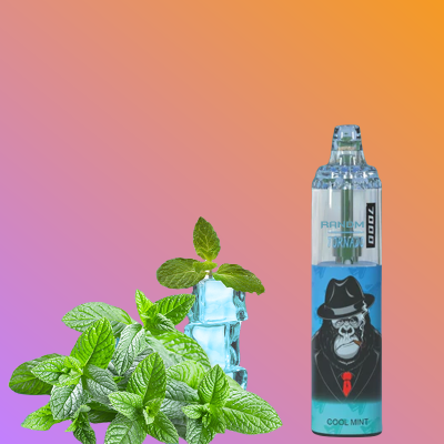 RandM Tornado 7000 Puffs Vape Wholesale price Cool Mint 2% Nicotine