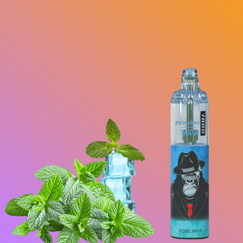 RandM Tornado 7000 Puffs Vape Wholesale price Cool Mint 2% Nicotine RandM Tornado 7000 Puffs Vape Wholesale price Cool Mint 2% Nicotine