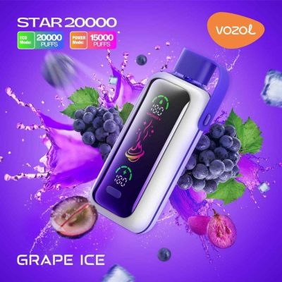 VOZOL Vape Star 20000 Puffs Disposable Grape lce 5% Wholesale Price