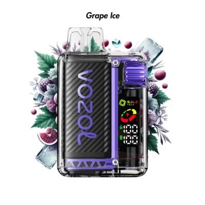 Vozol Vista 20000 Puff Rechargeable Vape Grape Ice Flavour 5% Nicotine Germany Wholesale
