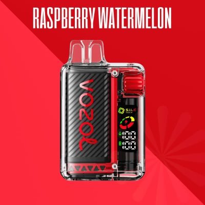 Raspberry Watermelon Vozol Vistar Engros Engangs Vape 20000 Puffs 5%