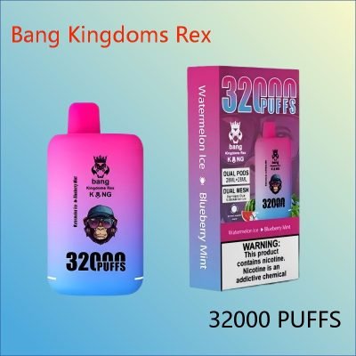 bang kingdoms rex 32000 PUFFS Watermelon Ice Blueberry Mint